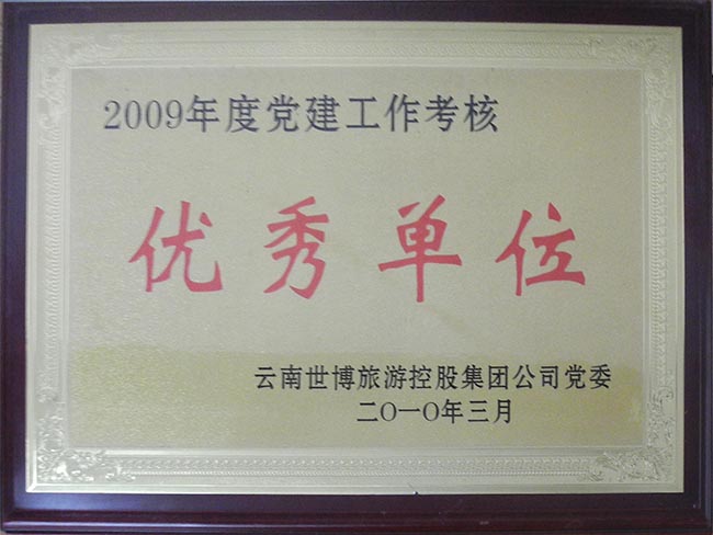 31-2009年黨建工作優秀單位