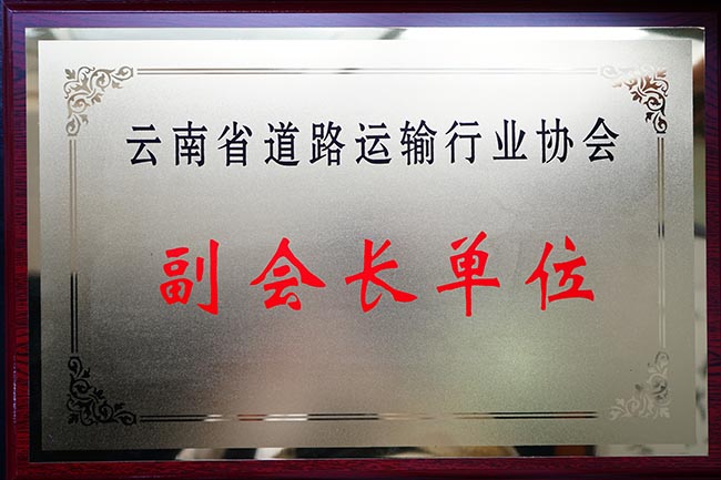 44云南省道路運輸行業協會副會長單位